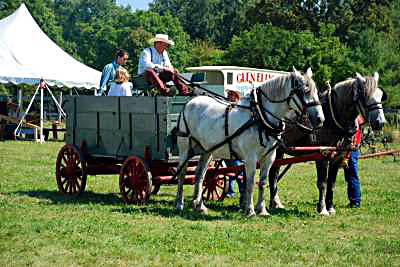 Kline Creek Farm Percherons Pulling Interpreters